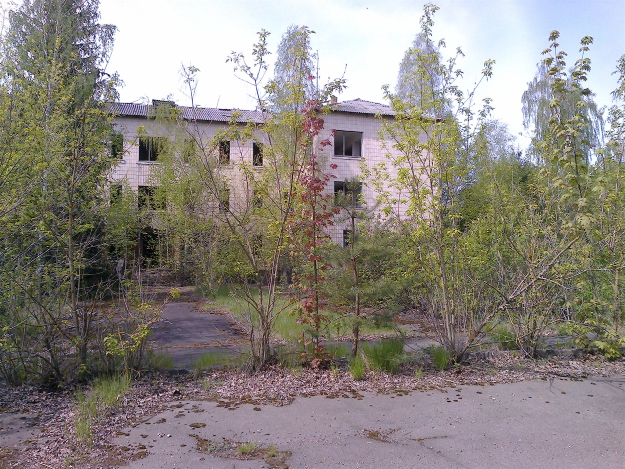 Поліське, 2013 рік.