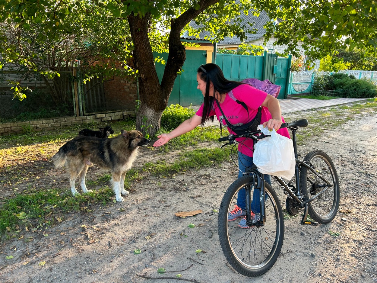 Тварини зустрічають волонтерку, як добру подругу.