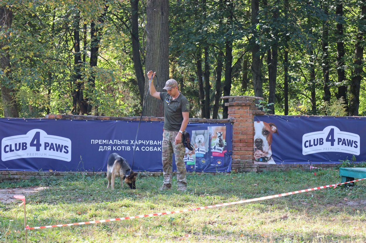 Дора розшукує гільзи
