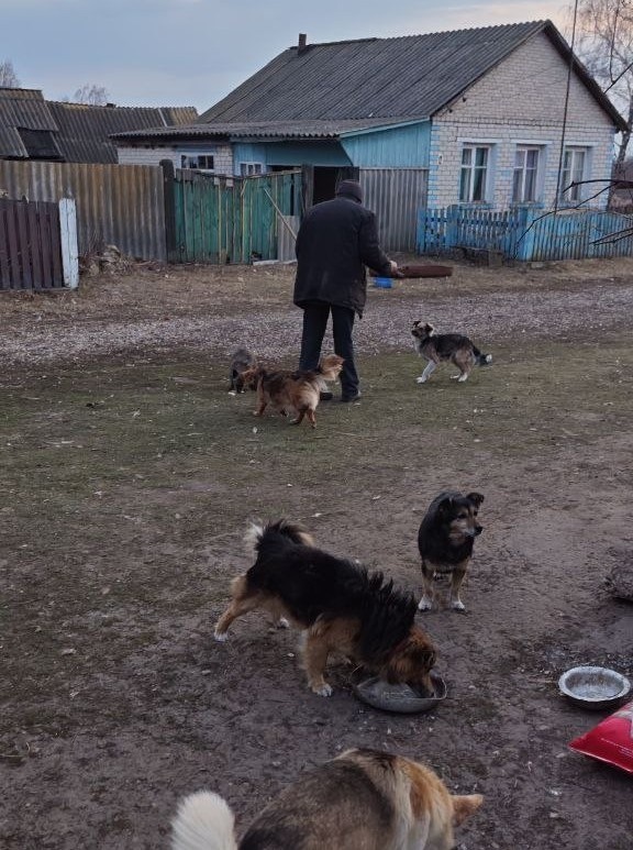 У селі Ходине