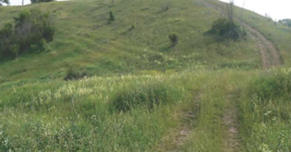 Лиса гора. Фото 2003 рік
