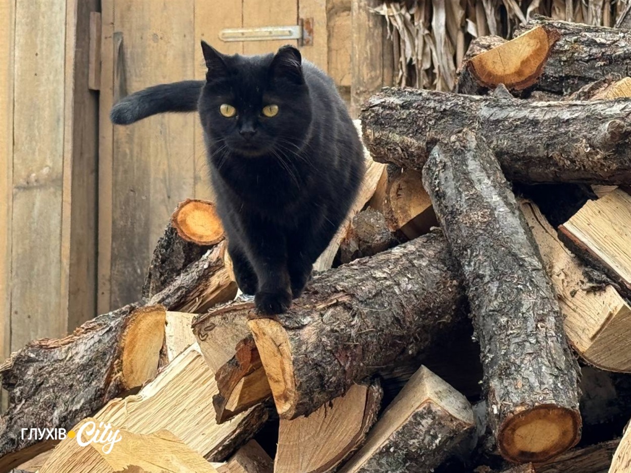 Чотирилапа помічниця пані Тетяни