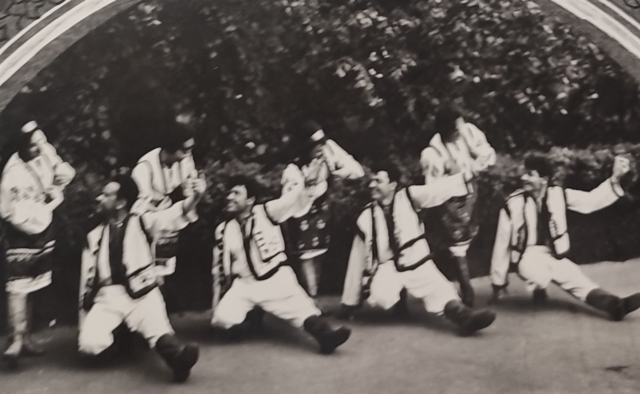 1966 Ансамблі інституту ГДПІ